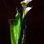 The Penz 4*